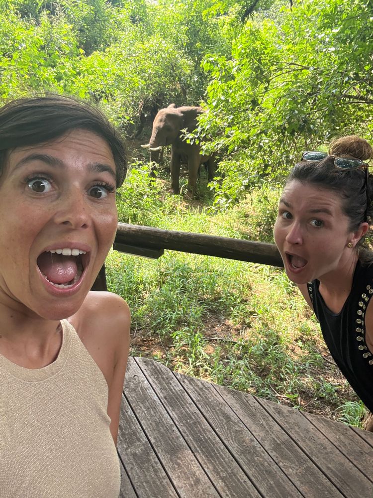 Éléphants devant notre chambre Pafuri Camp Safari au Nord du Parc Kruger en Afrique du Sud 