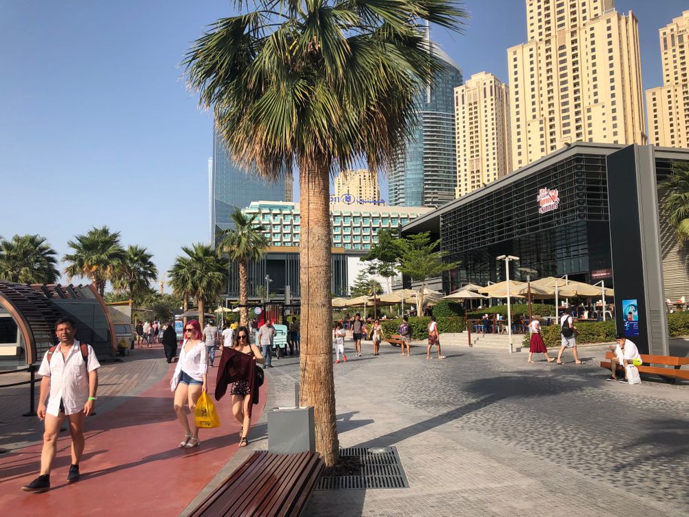 Marina The Walk Dubai