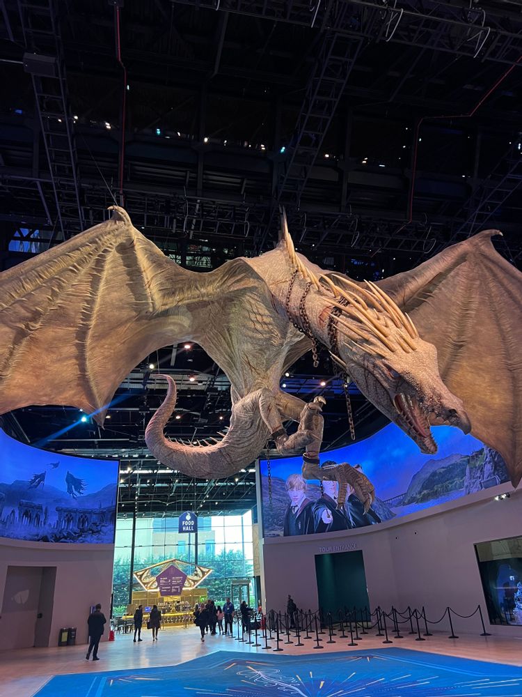 Studios Harry Potter Londres dragon entrée