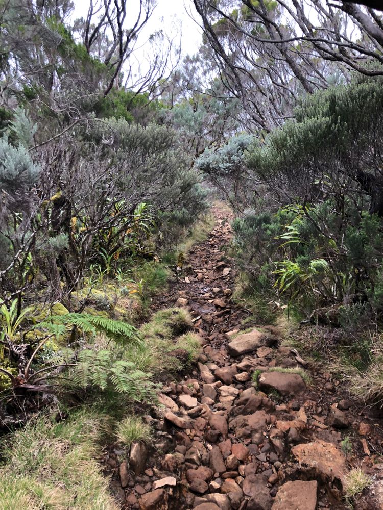 Piton des neige Réunion Trek de 4 jours à l'île de la Réunion