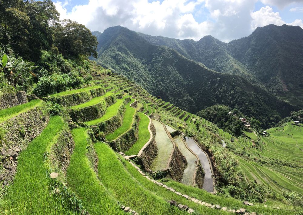 Banaue Batad rizières Philippines