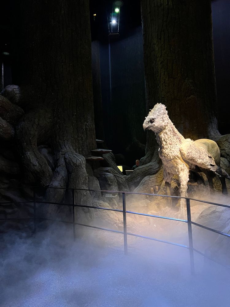 Studios Harry Potter Londres Buck L'hippogriffe 