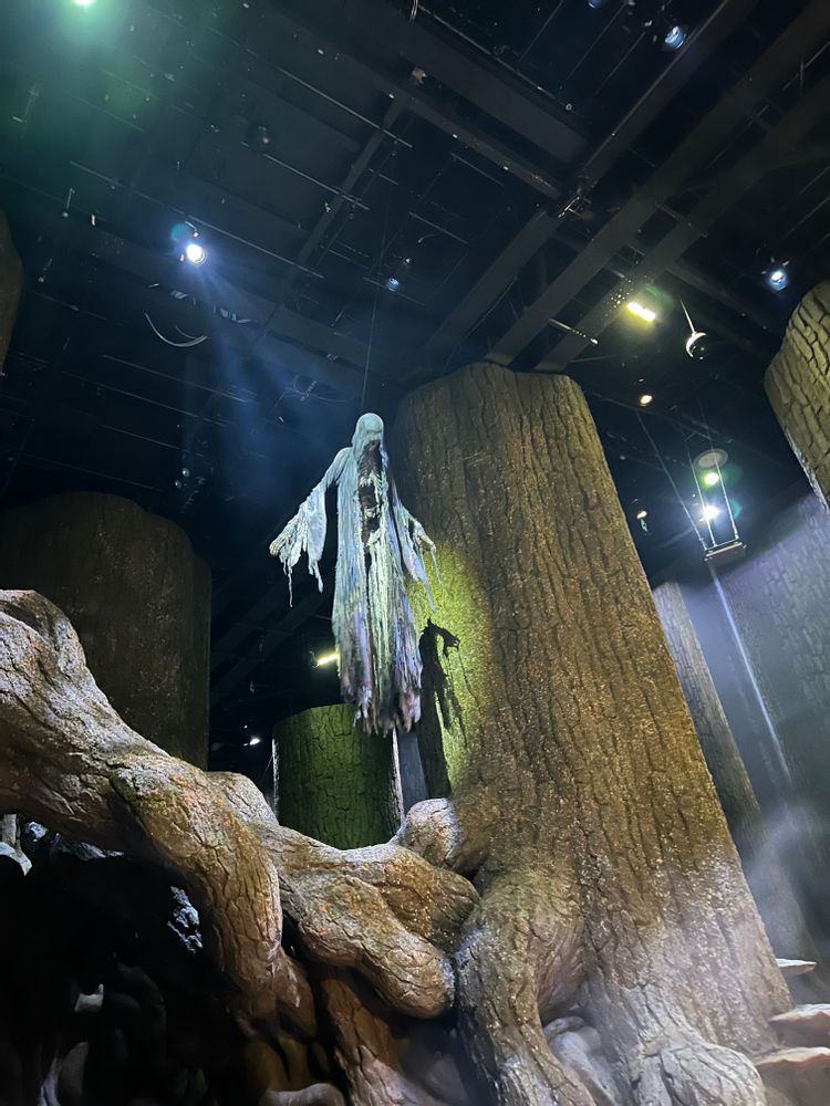Studios Harry Potter Londres Forêt interdite Mangemort