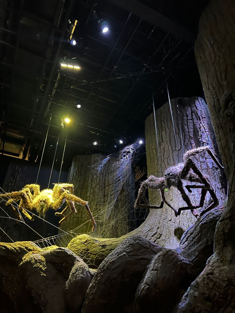 Studios Harry Potter Londres Forêt interdite