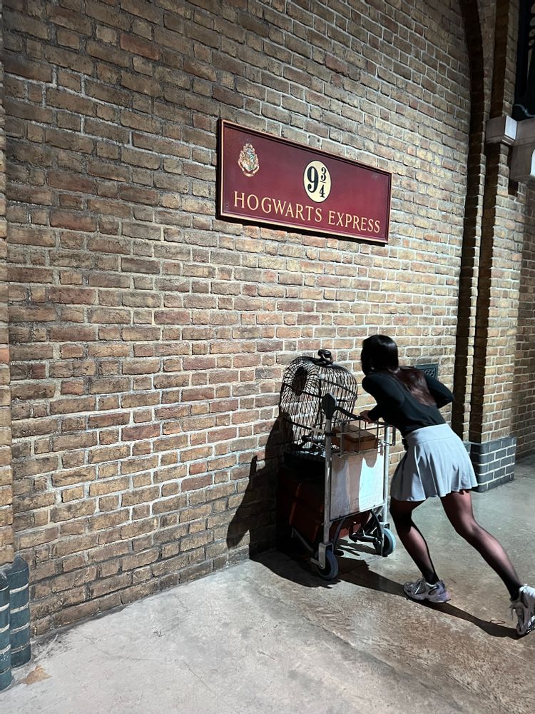 Studios Harry Potter Londres Plateforme neuf trois quart 