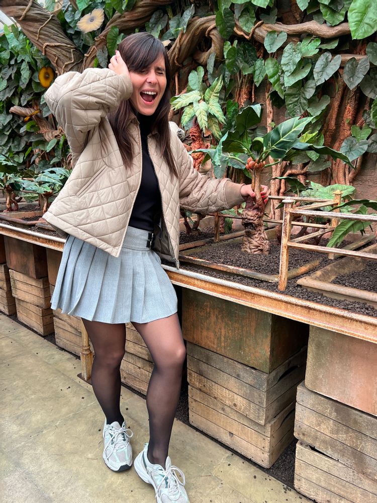 Studios Harry Potter Londres Mandragore