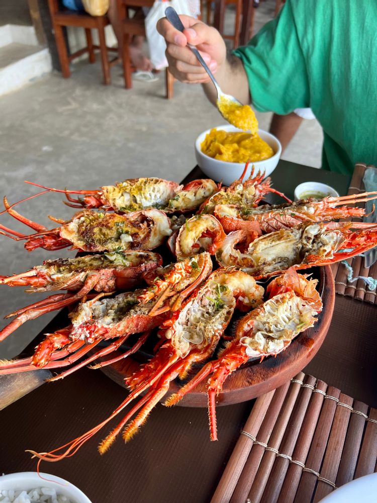 Langouste sur la plage Tinharé Morro de Sao Paulo Brésil