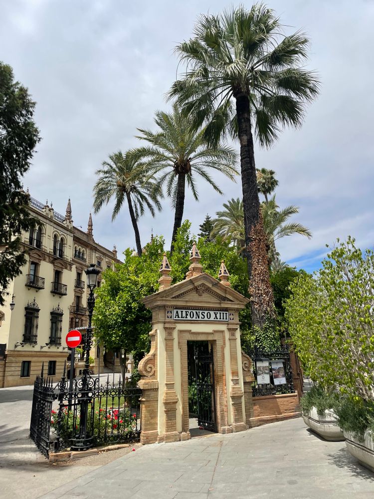 Que faire à Séville - weekend a seville - alfonso