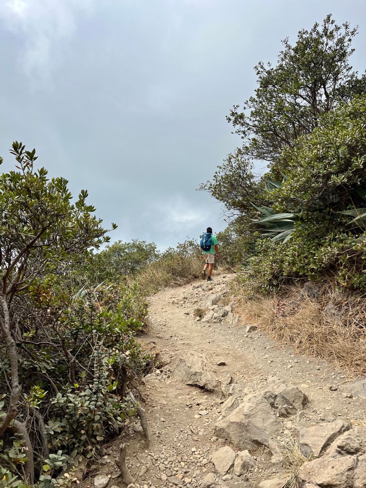 volcan Santa Ana El Salvador 