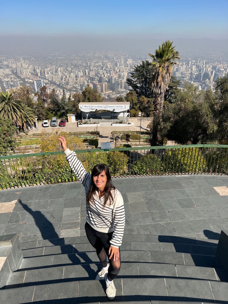 Que faire à Santiago au Chili ? Belvedere vue palmier