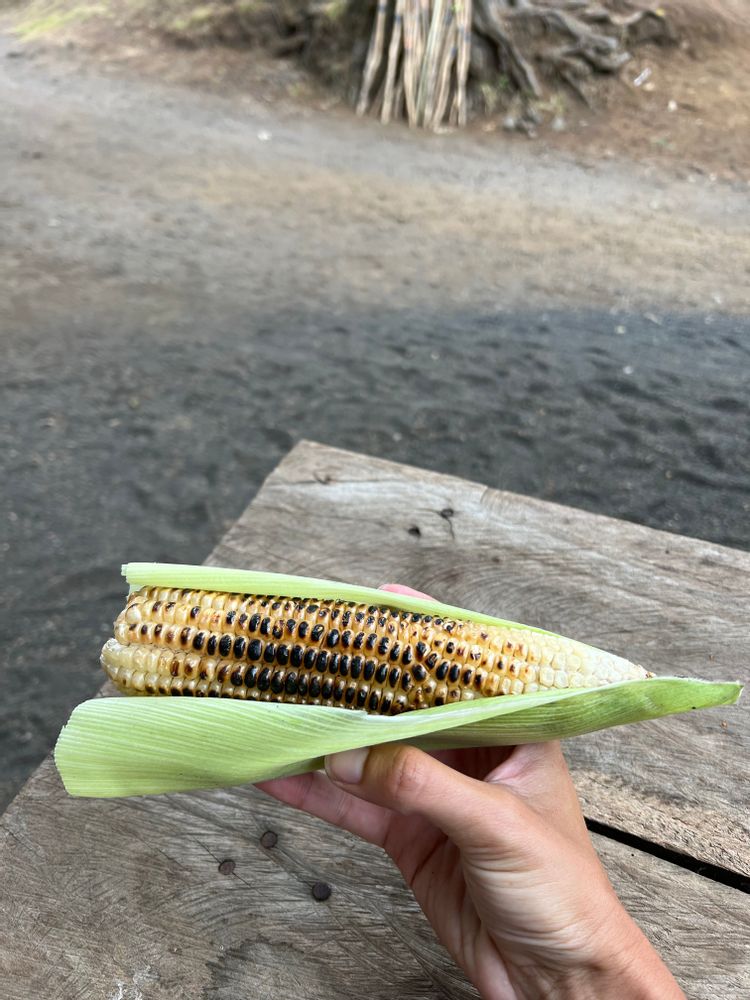 volcan Santa Ana El Salvador bus 248