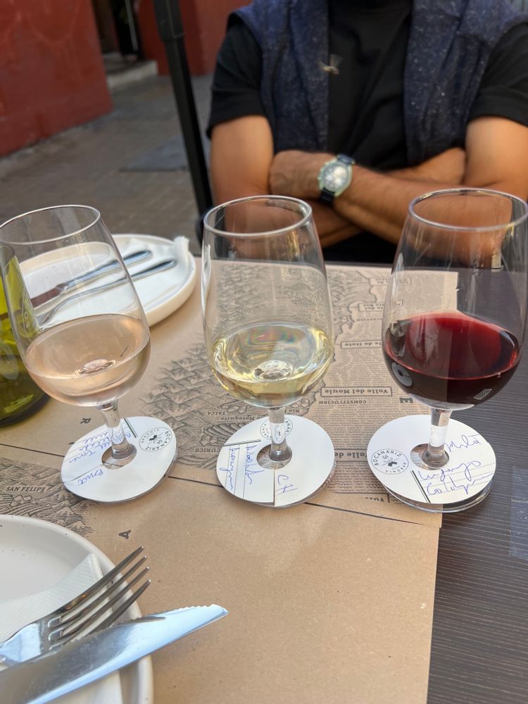 Que faire à Santiago de Chile - Chili dégustations de vins