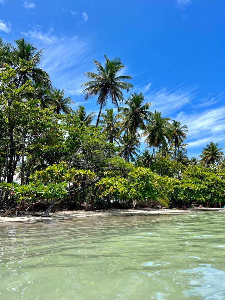Plage Boipeba Morro de Sao Paulo Brésil
