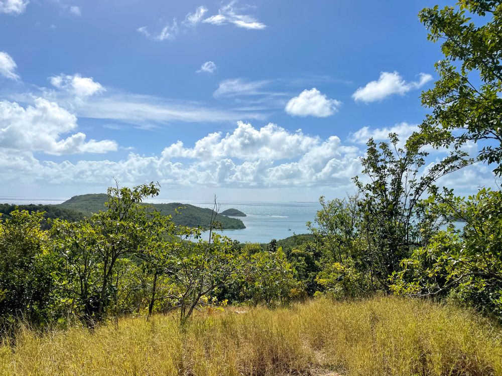 Randonnée Prêcheur Grand'Rivière Martinique
