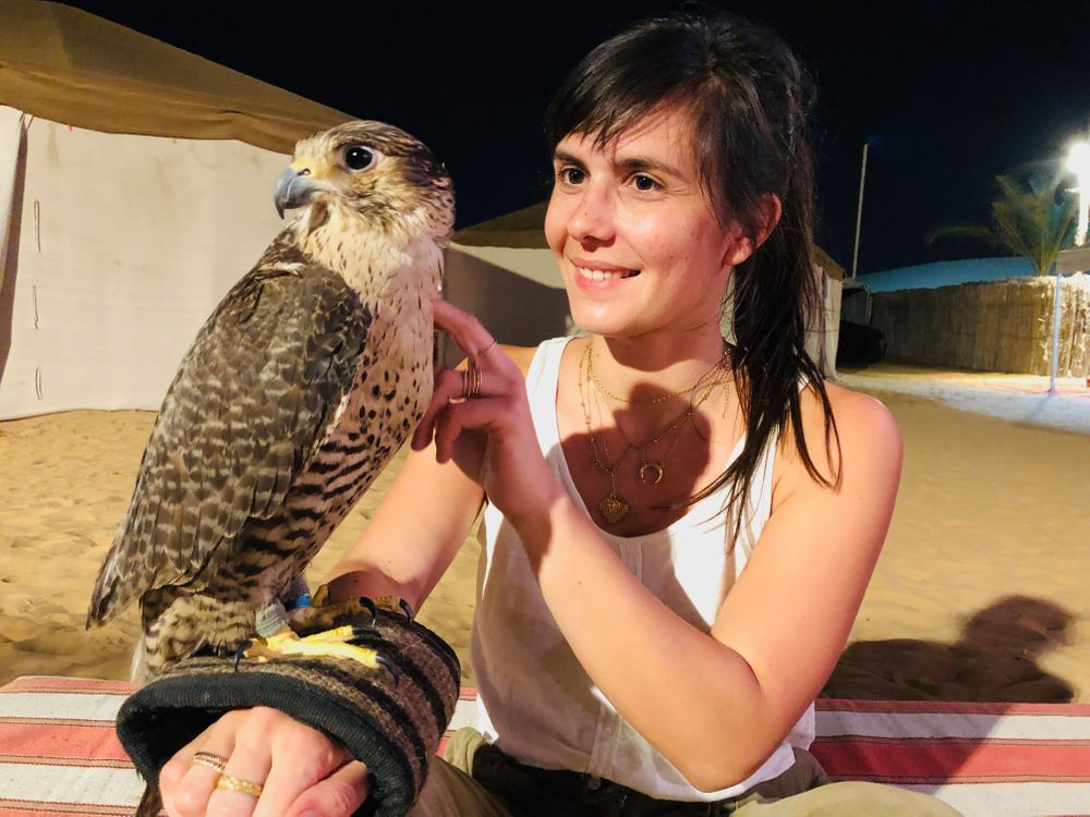 Faucon Dubai Désert expérience insolite