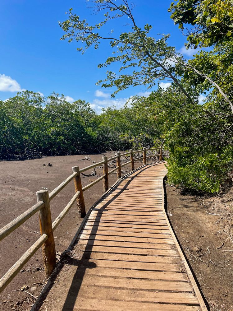 Randonnée de la Presqu'Ile de la Caravelle Grande Boucle Martinique