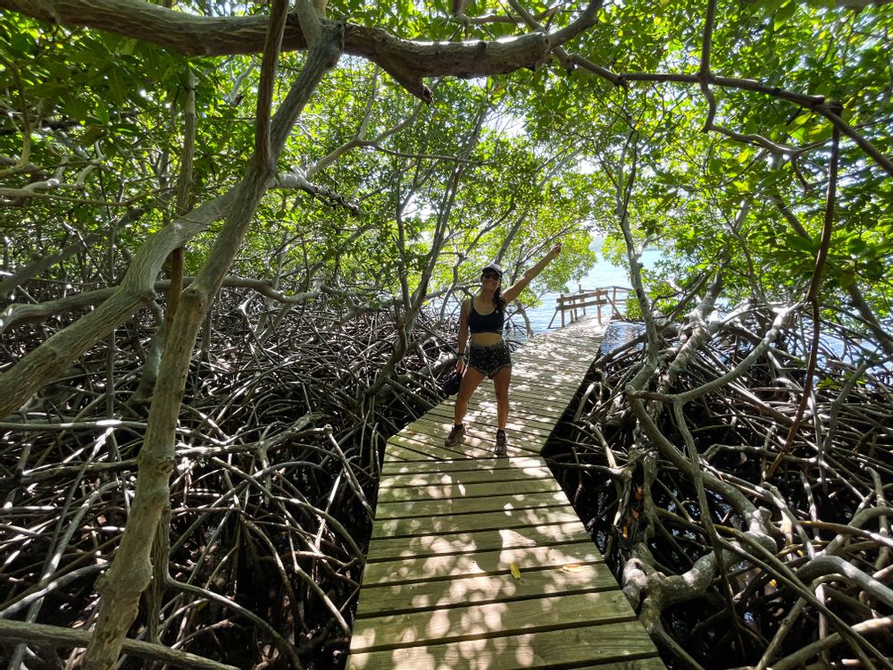Randonnée de la Presqu'Ile de la Caravelle Grande Boucle Martinique