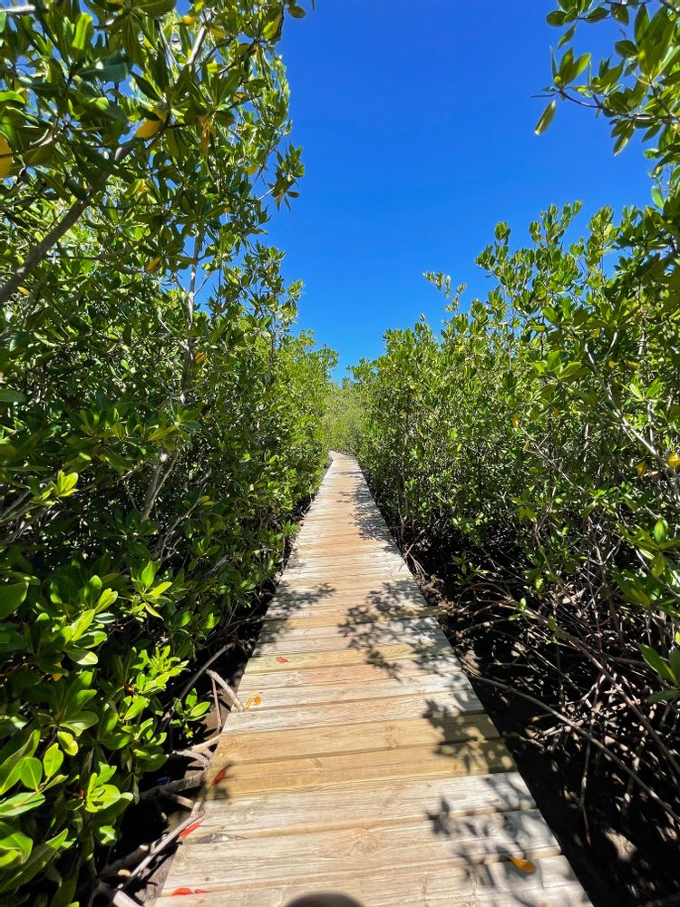 Martinique Presqu'Ile de Caravelle randonnée grande boucle