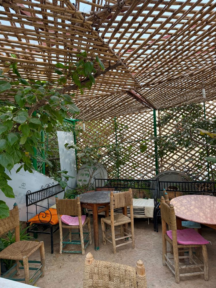 Fès Maroc rooftop restaurant