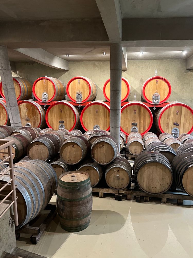 RE BODEGAS CHILI Vale de Casablanca