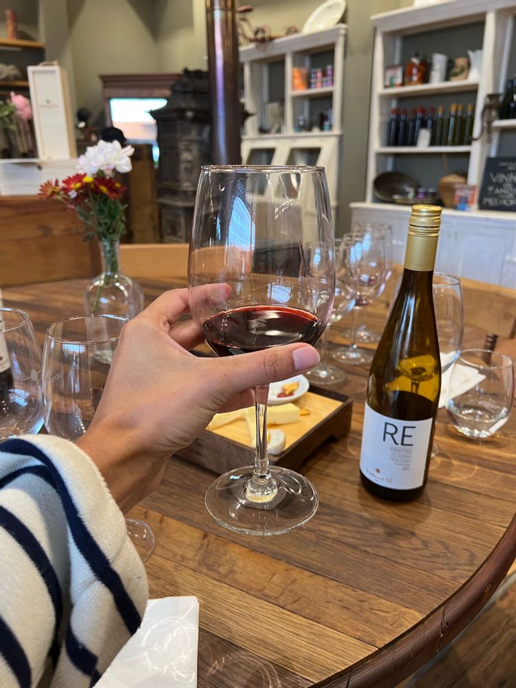 Re Bodegas degustation de vin chilien casablanca chili 