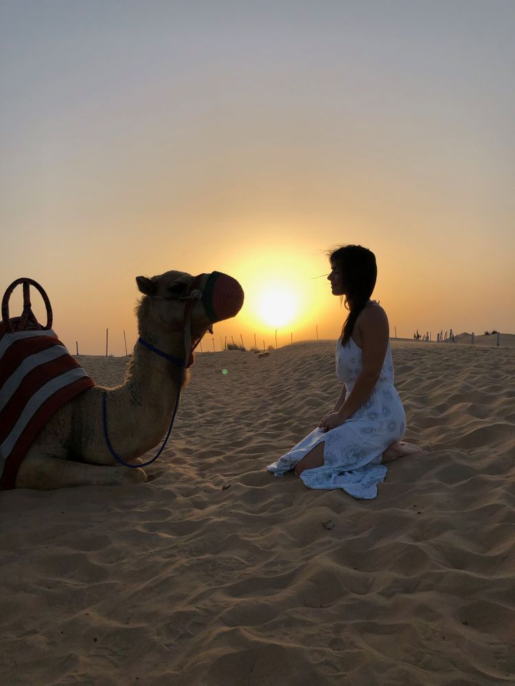 lever de soleil dubai chameau