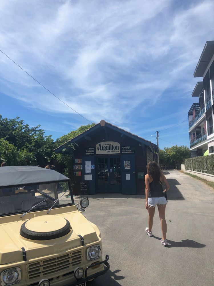 Huitre Arcachon France