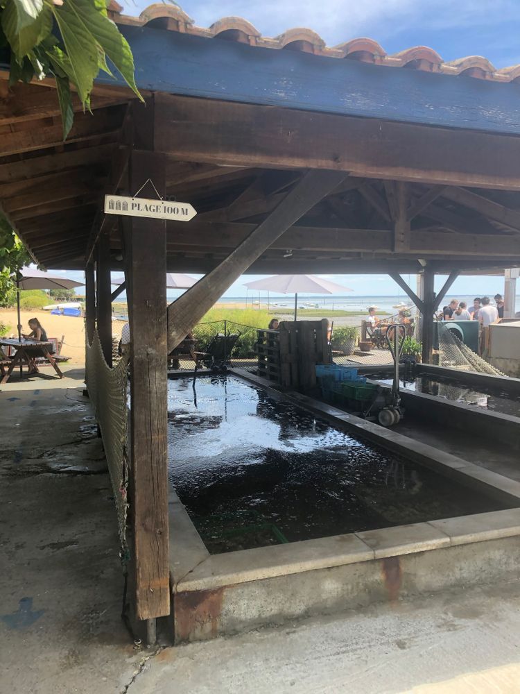 Huitre Arcachon France