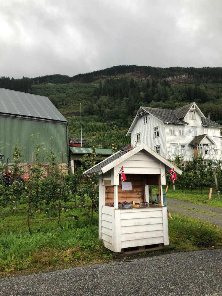 Road-trip et itinéraire en Norvège de Bergen à Stavanger