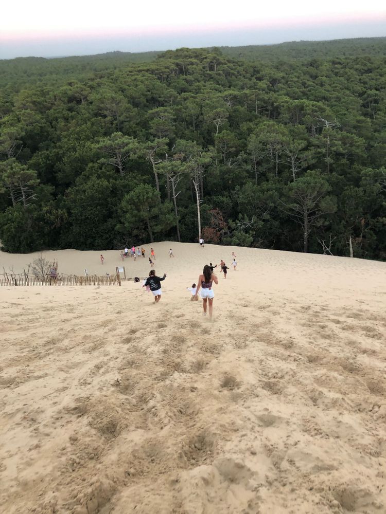 dune du pilat arcachon France