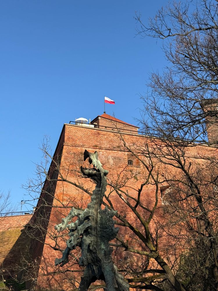 Dragon Château du Wawel visiter Cracovie Pologne