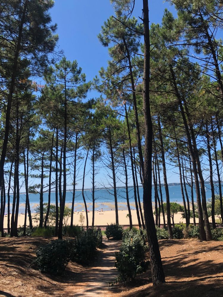 Pinède Arcachon France