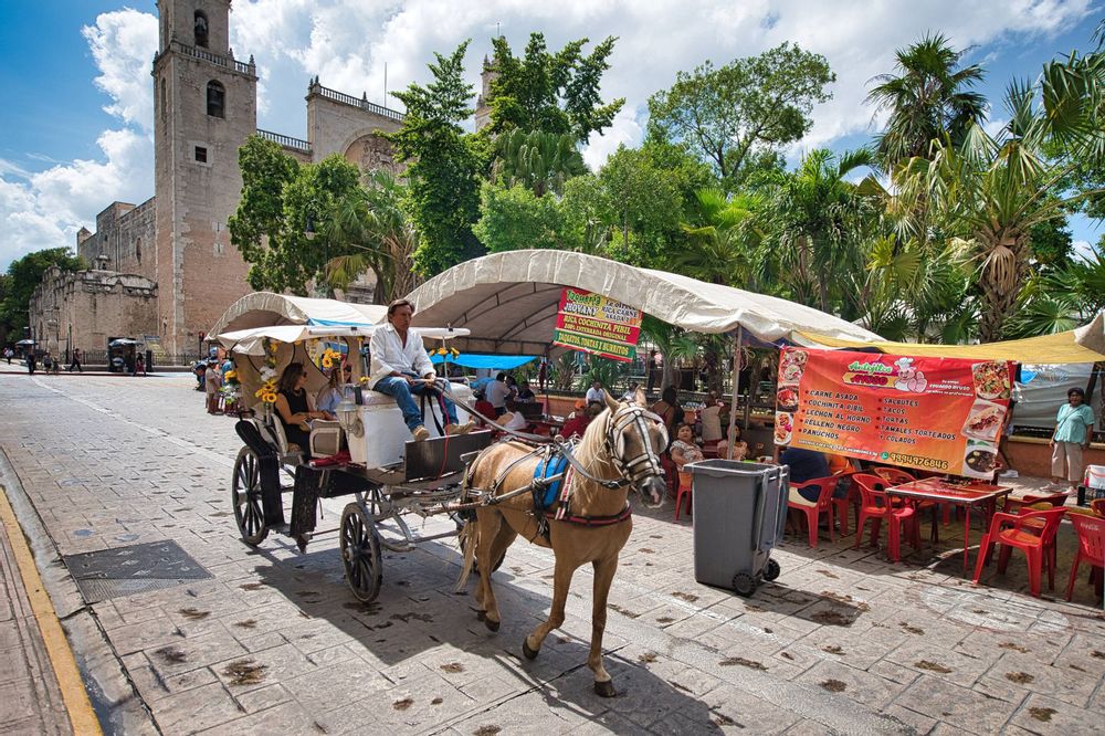 Mercado Merida Yucatan Mexique