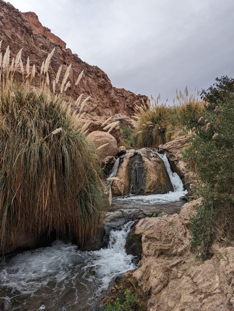 Sources d'eau chaude Puritama thermes Désert d'Atacama San Pedro de Atacama Chili