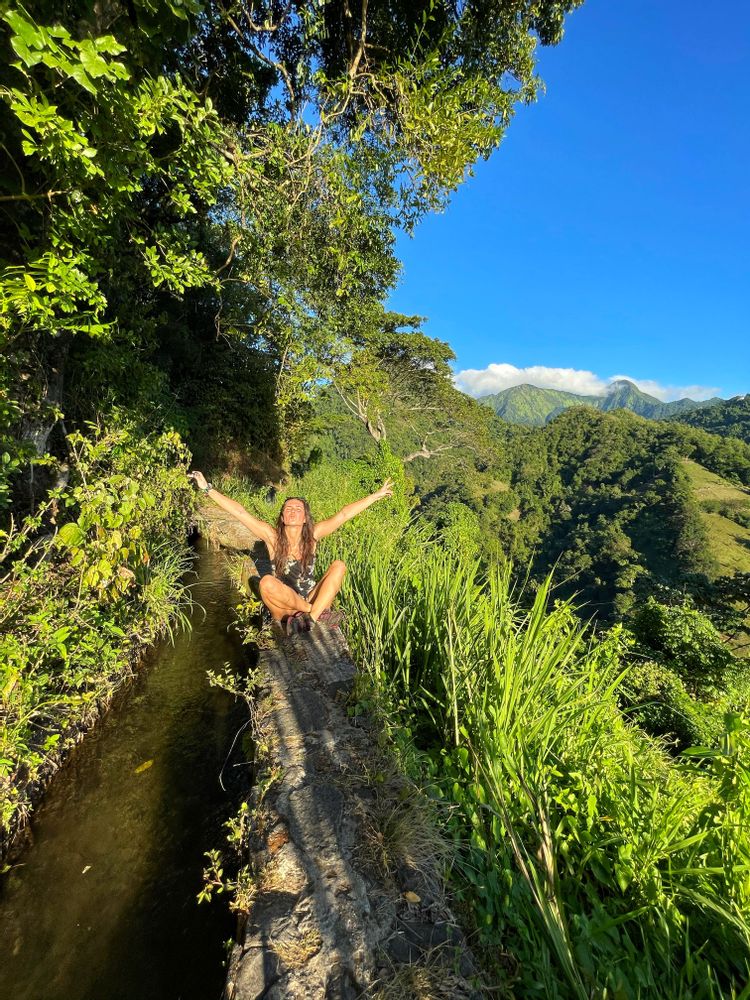 les plus belles randonnées de martinique canal beauregard canal des esclaves