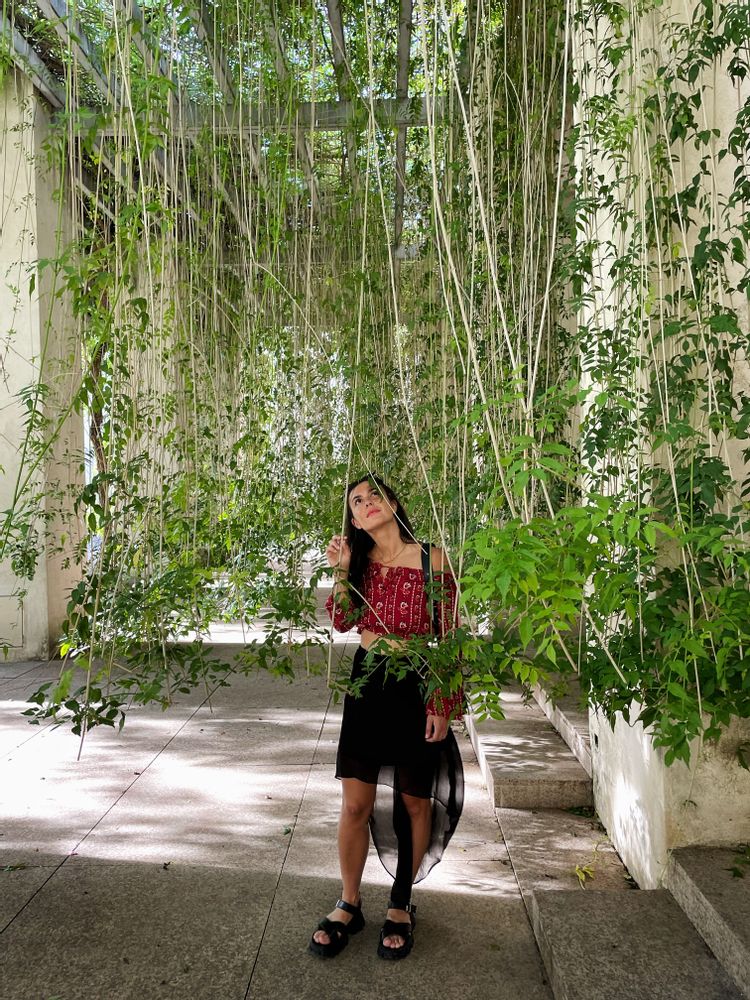 musée d'art moderne seville