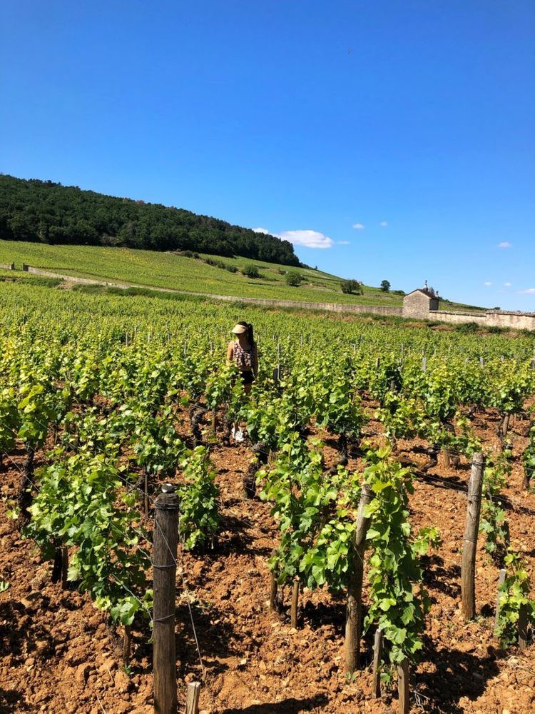 que faire en france bourgogne plus beaux endroits en france