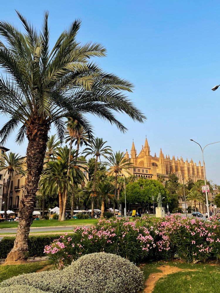 Que faire à majorque palma