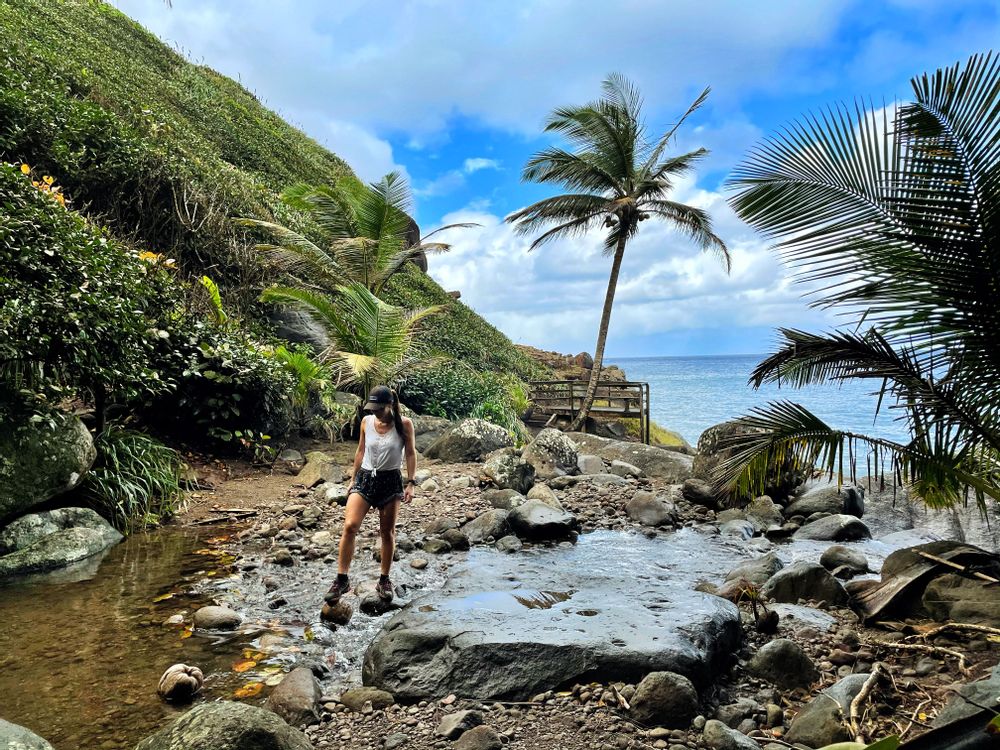 Sentier randonnée Prêcheur Grand'Rivière Martinique