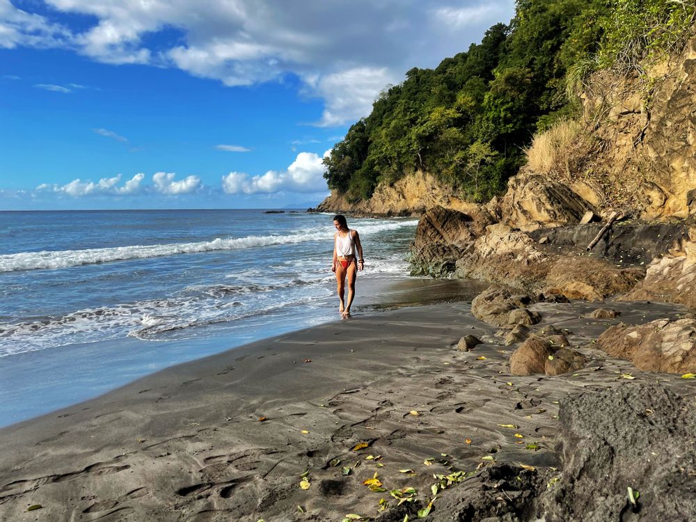 les plus belles randonnées de martinique precheur grand riviere anse couleuvre