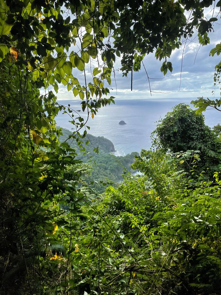 Sentier à flanc de falaise Prêcheur Grand'Rivière Martinique