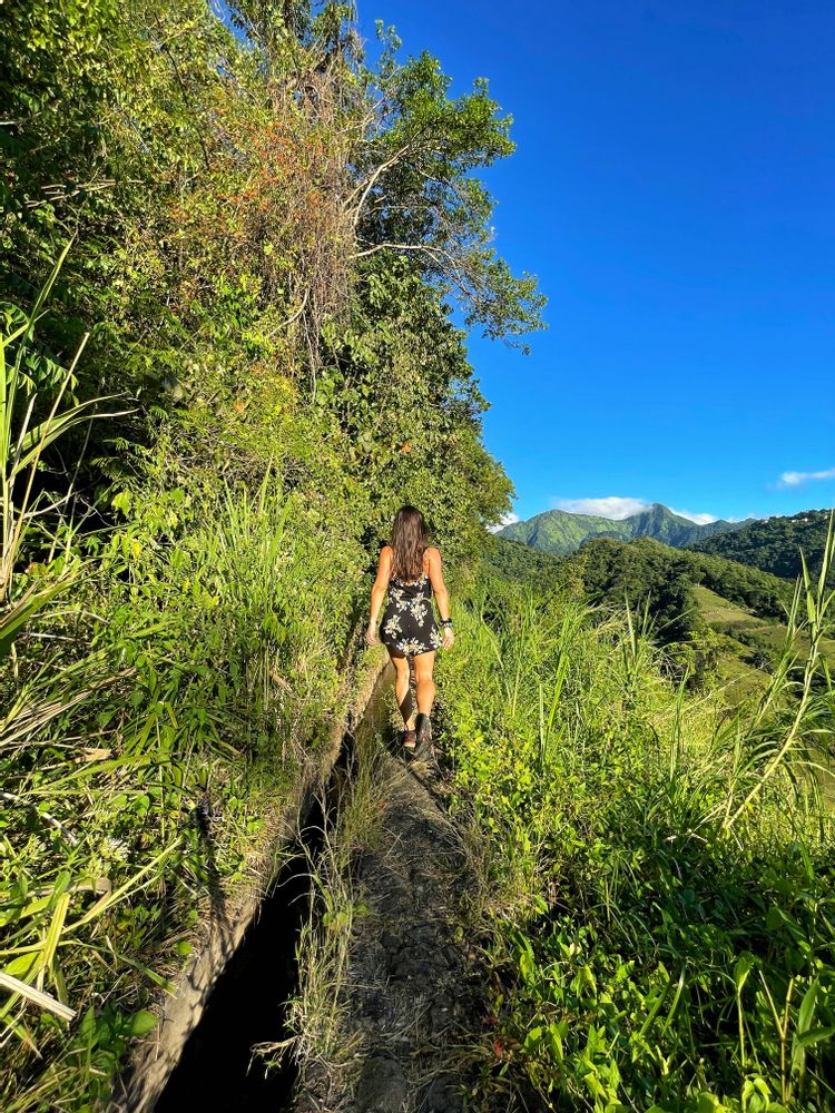 les plus belles randonnées de martinique canal beauregard canal des esclaves