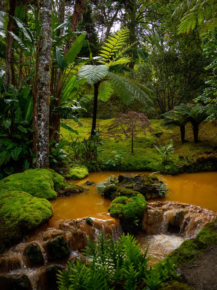 Thermes naturelles eau chaude Terra Nostra Sao Miguel Açores