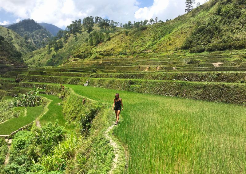 Banaue Philippines rizières