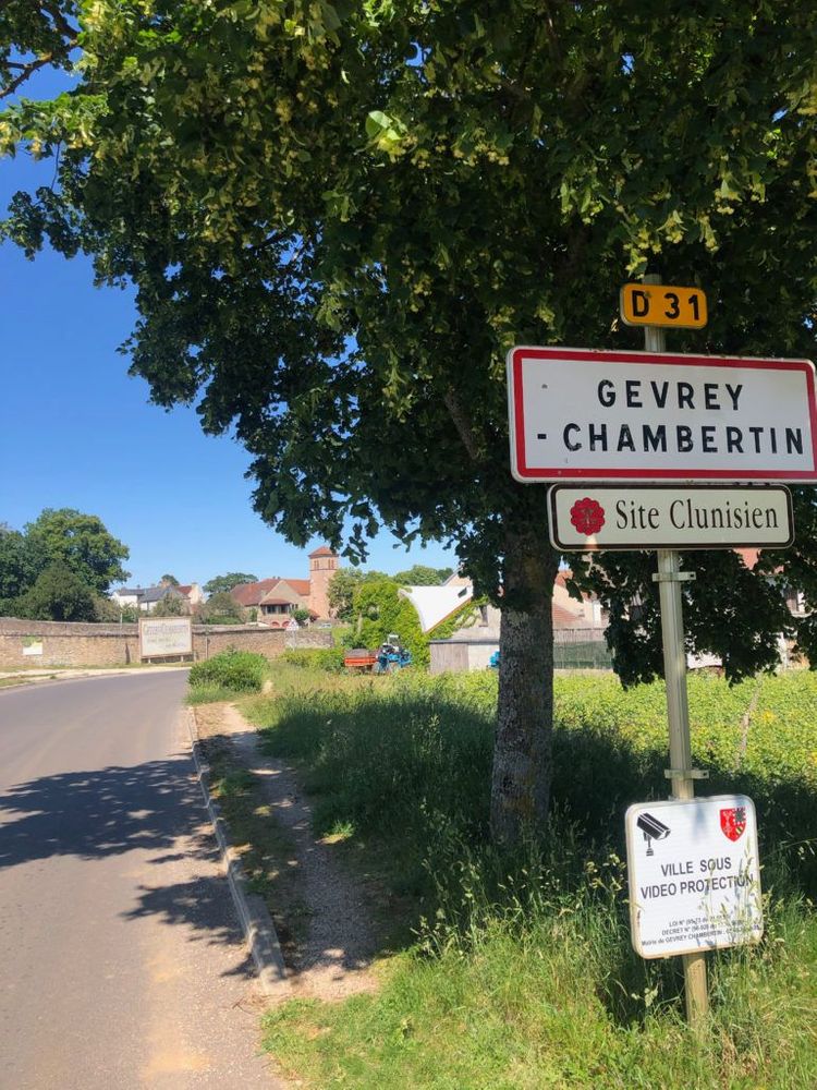 Bourgogne Parcours en vélo vigne Dijon