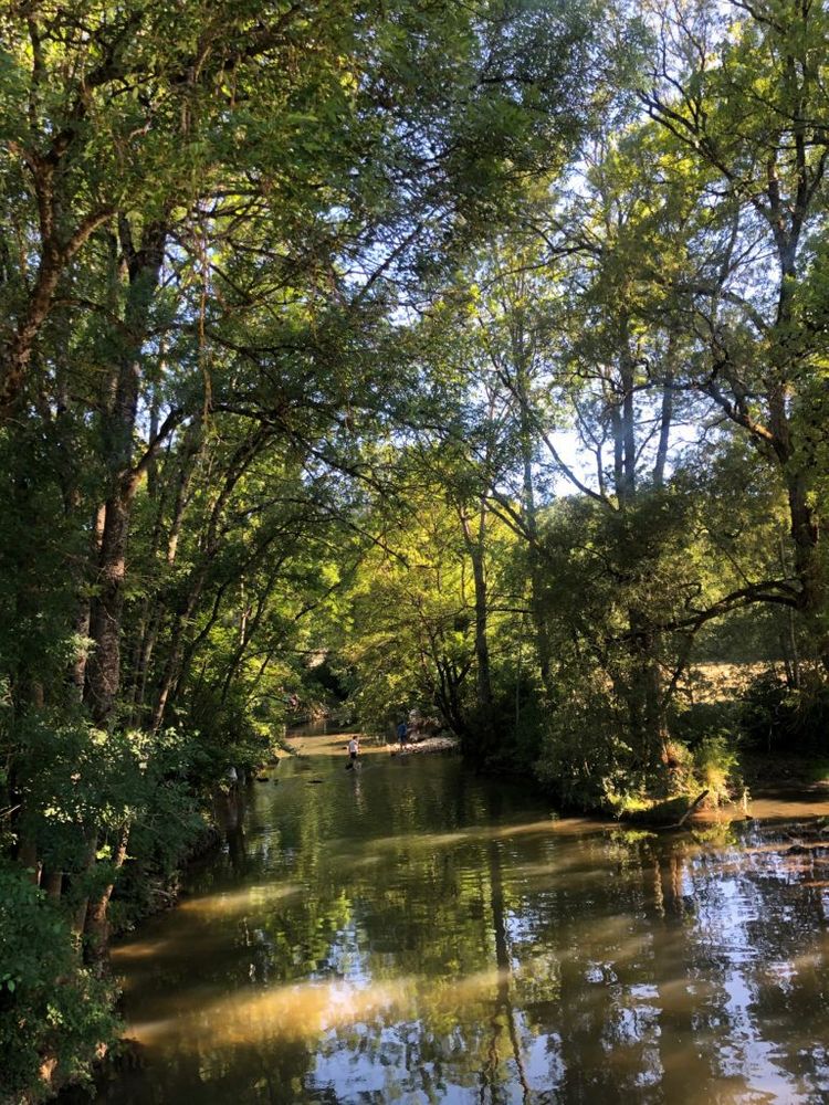 ou se baigner près de dijon rivière