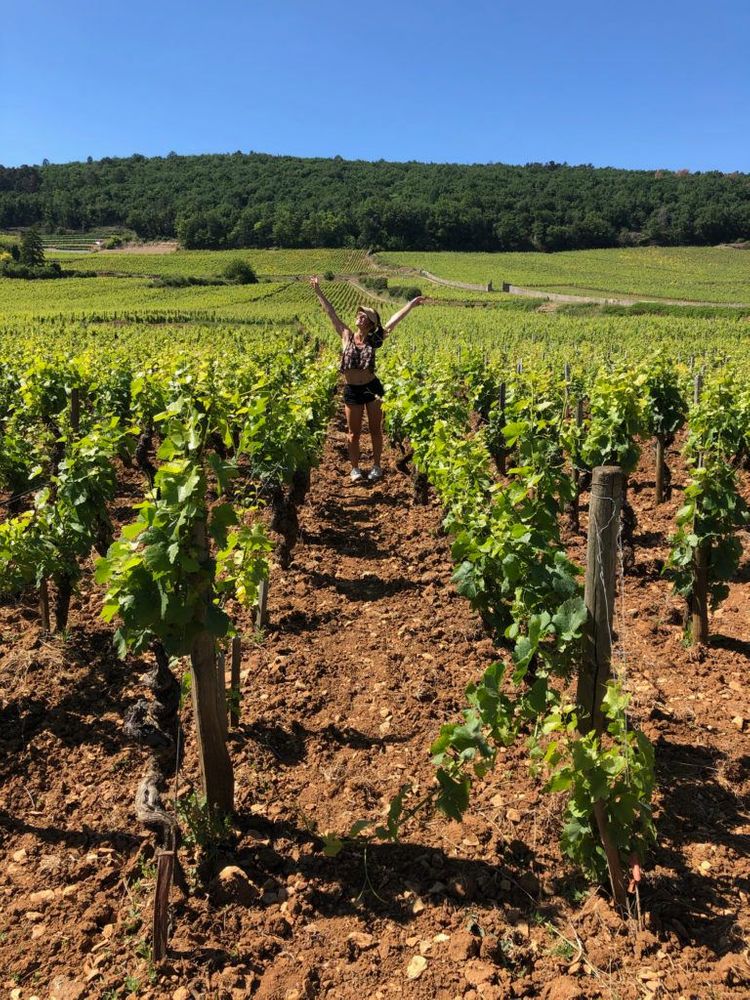 Bourgogne Parcours en vélo vignes Dijon