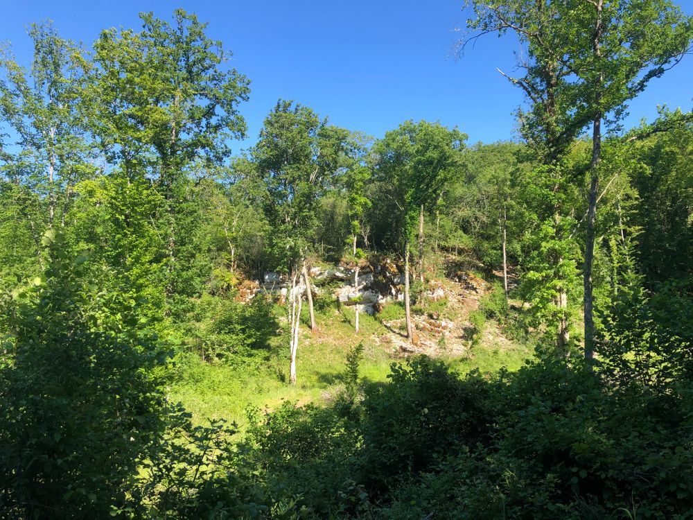 Bourgogne Parcours en vélo vigne Dijon