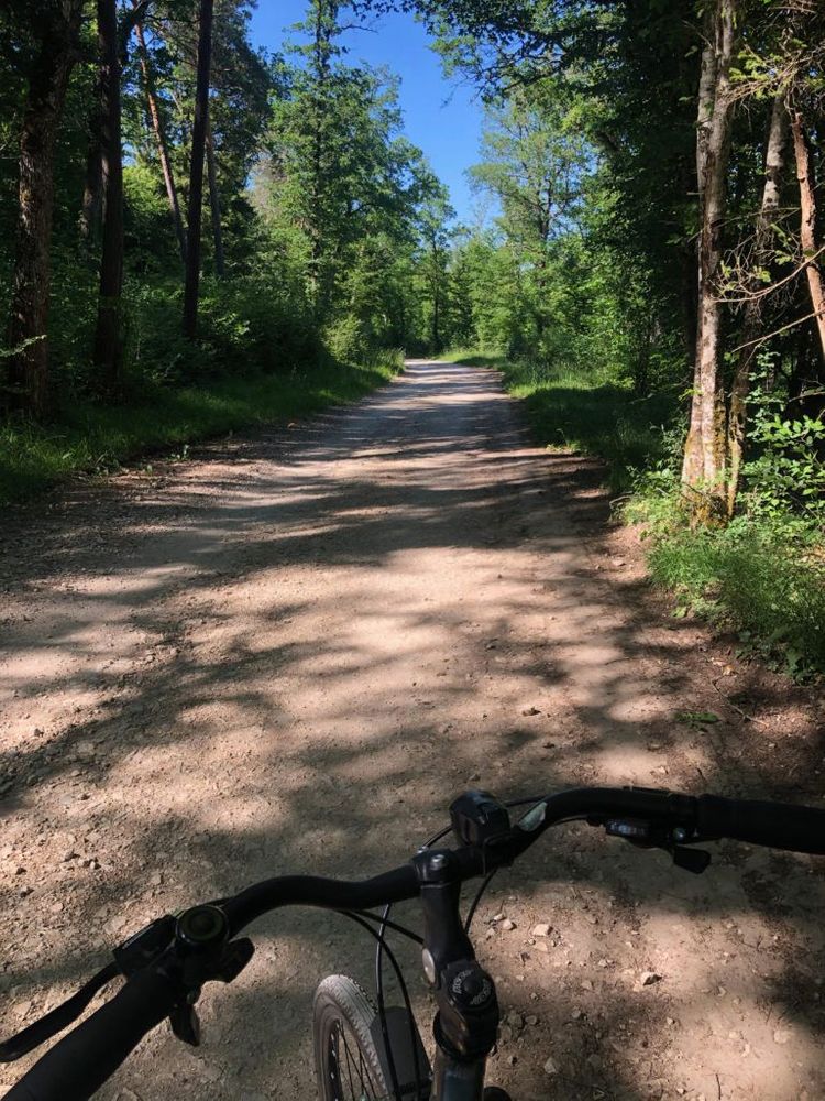 Bourgogne Parcours en vélo forêt Dijon