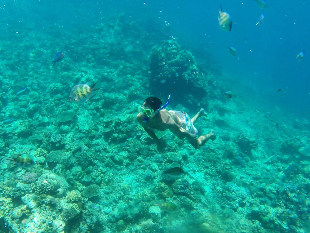 snorkeling philippines 